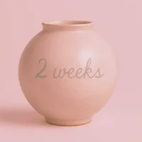 Monday              Aug25-Sep1    6:30pm-9pm