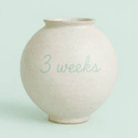 Saturday  Dec20 - Jan3  (3 weeks)   11am 2pm