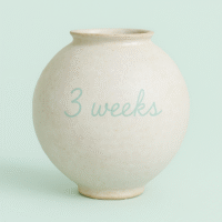 Monday  Dec15 - Dec29  (3 weeks)   6:30pm 9:30pm